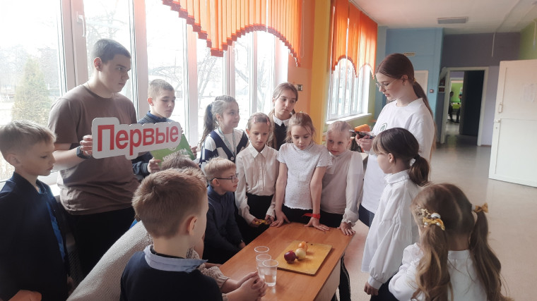 Готовим рассаду зимой.